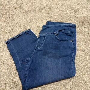 Belle by Kim Gravel Primabelle denim cropped jegging, 14P